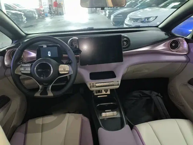 BYD Dolphin — Фото автомобиля 9