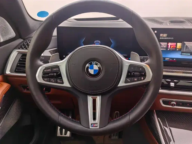 BMW X7 — Фото автомобиля 14