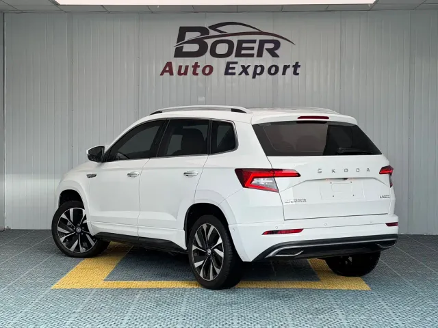 Skoda Karoq — Фото автомобиля 3