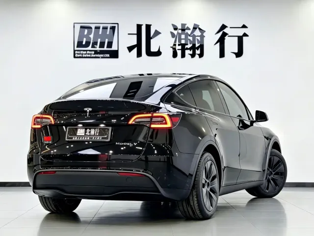 Tesla Model Y — Фото автомобиля 5