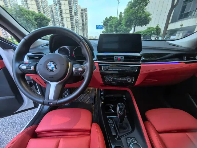 BMW X2 — Фото автомобиля 10