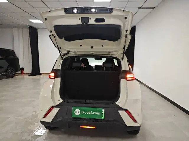 BYD Seagull — Фото автомобиля 18