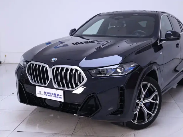 BMW X6 — Фото автомобиля 3