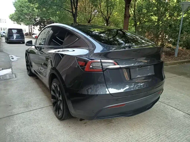Tesla Model Y — Фото автомобиля 4
