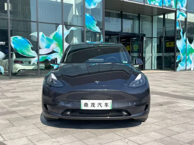 Tesla Model Y — Фото автомобиля 2