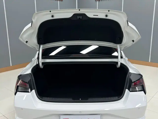 Hyundai Elantra — Фото автомобиля 26