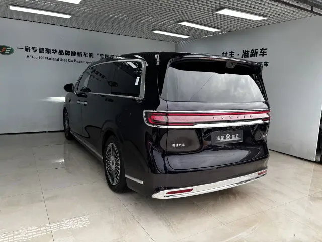 Luxeed Zunjie MPV — Фото автомобиля 7