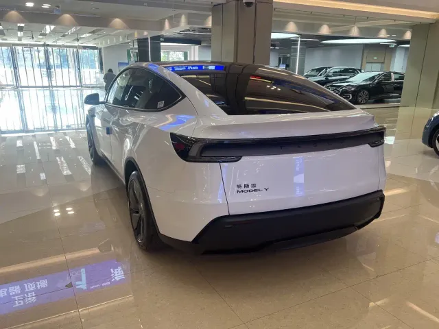 Tesla Model Y — Фото автомобиля 3