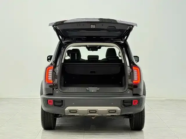 Haval Big Dog — Фото автомобиля 11