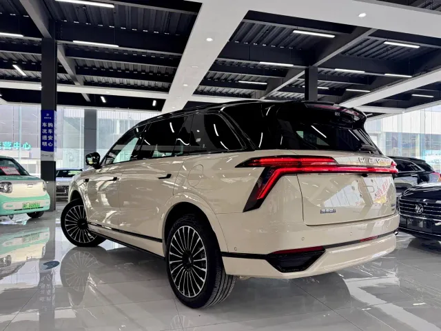 Wey Lanshan — Фото автомобиля 7