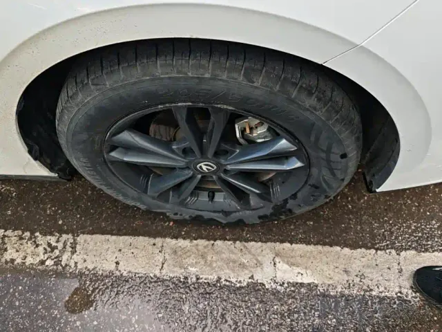 Changan Lamore — Фото автомобиля 6