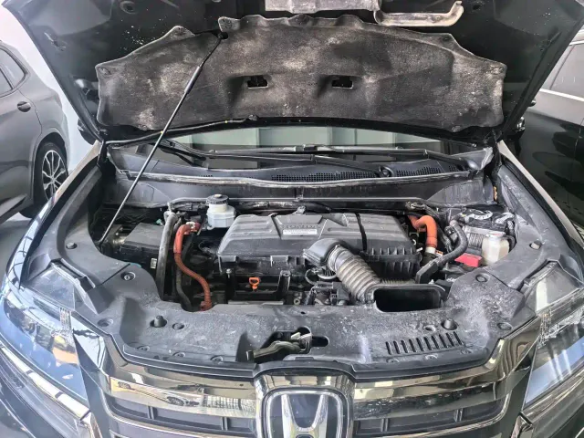 Honda Elysion — Фото автомобиля 24