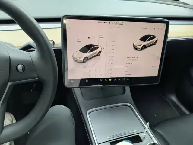 Tesla Model Y — Фото автомобиля 9