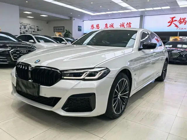BMW 5 Series — Фото автомобиля 8