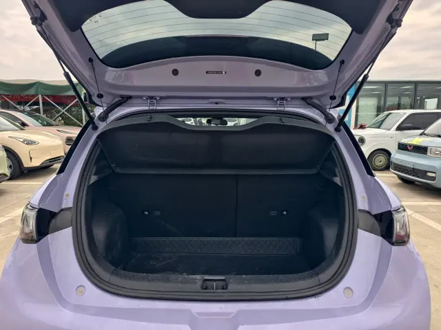 BYD Dolphin — Фото автомобиля 12
