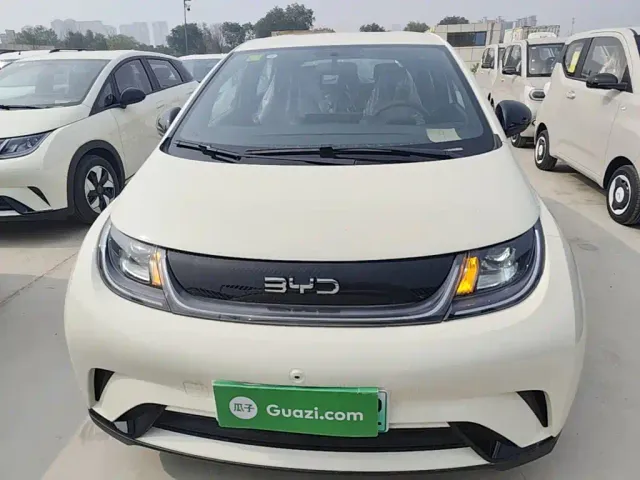 BYD Dolphin — Фото автомобиля 2