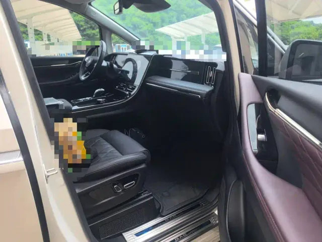 GAC Trumpchi M8 — Фото автомобиля 17
