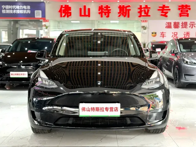 Tesla Model Y — Фото автомобиля 3