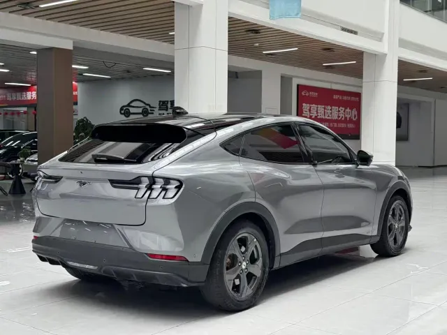 Ford Mustang Mach-E — Фото автомобиля 5