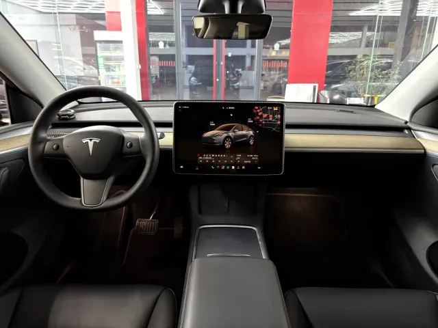 Tesla Model Y — Фото автомобиля 7