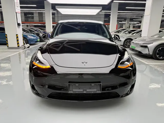 Tesla Model Y — Фото автомобиля 2