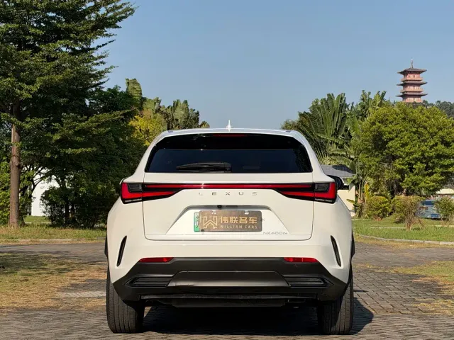 Lexus NX — Фото автомобиля 5