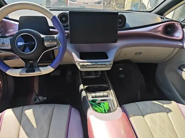 BYD Dolphin — Фото автомобиля 12