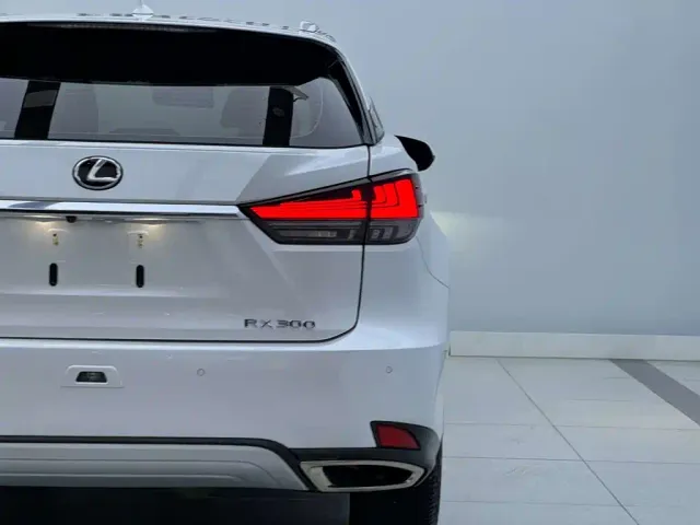 Lexus RX — Фото автомобиля 5