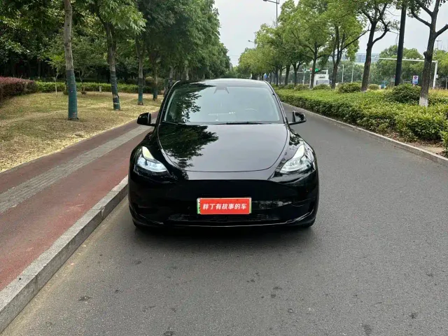 Tesla Model Y — Фото автомобиля 3