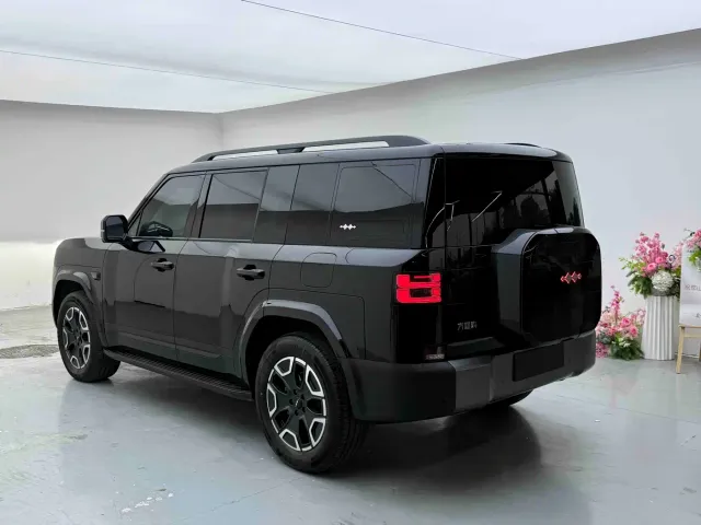 BYD FangChengBao Titanium 7 — Фото автомобиля 9