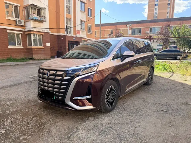 Фотография автомобиля — Denza D9