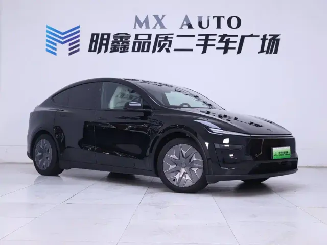 Tesla Model Y L — Фото автомобиля 5