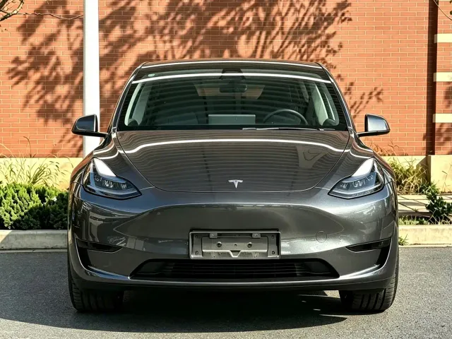 Tesla Model Y — Фото автомобиля 2