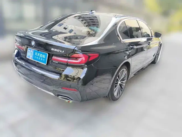 BMW BMW 5 Series 2023 530Li Leading M Sport Package — Фото автомобиля 5