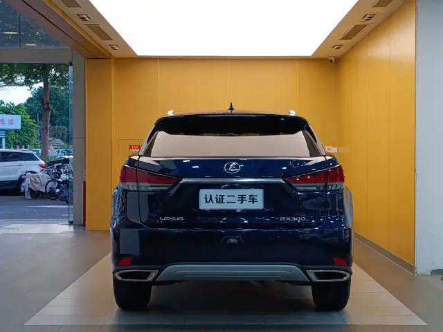 Lexus RX — Фото автомобиля 29