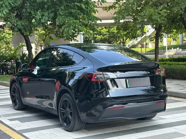 Tesla Model Y — Фото автомобиля 10
