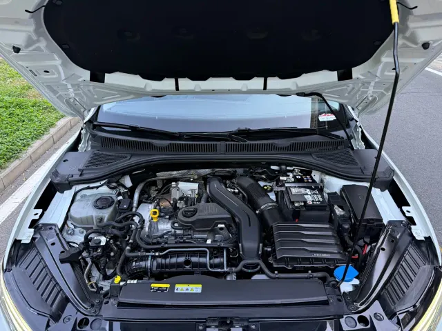 Volkswagen Sagitar — Фото автомобиля 18