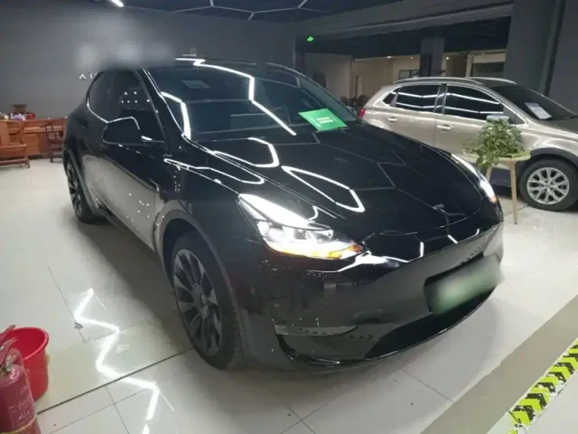 Tesla Model Y — Фото автомобиля 3