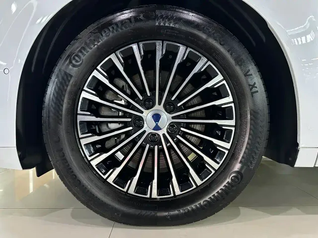 Denza D9 — Фото автомобиля 5