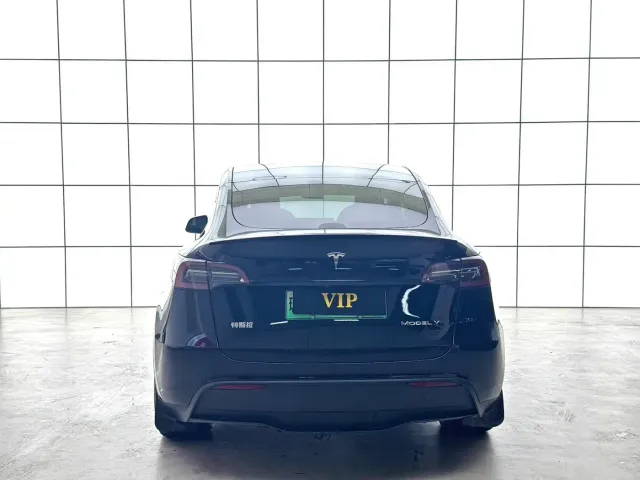 Tesla Model Y — Фото автомобиля 10