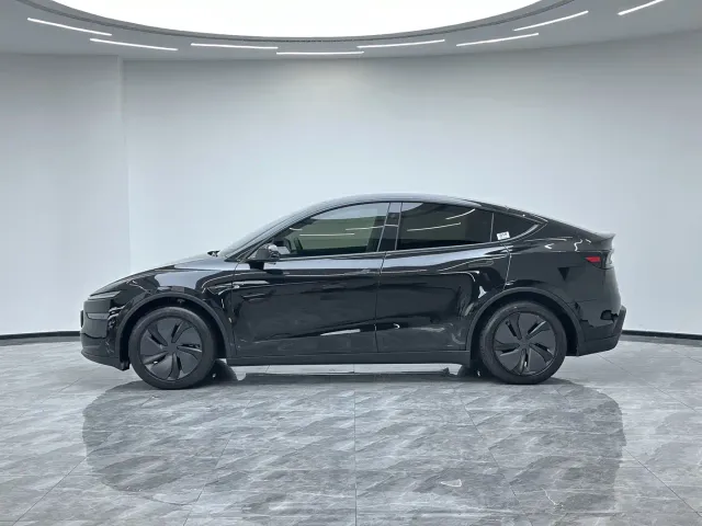 Tesla Model Y — Фото автомобиля 9