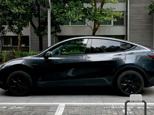 Tesla Model Y — Фото автомобиля 6