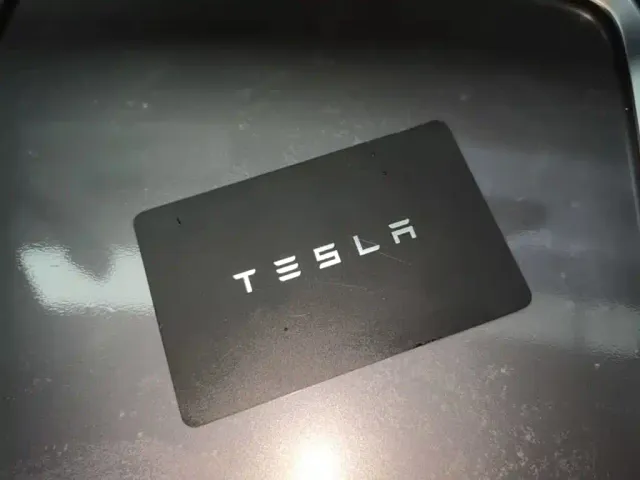 Tesla Model Y — Фото автомобиля 8