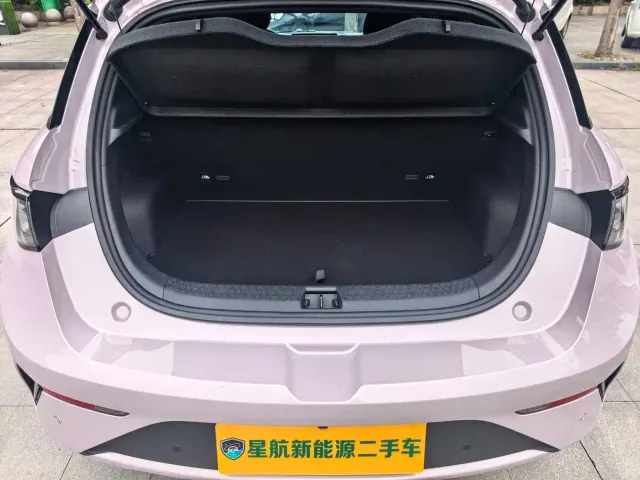 BYD Dolphin — Фото автомобиля 14