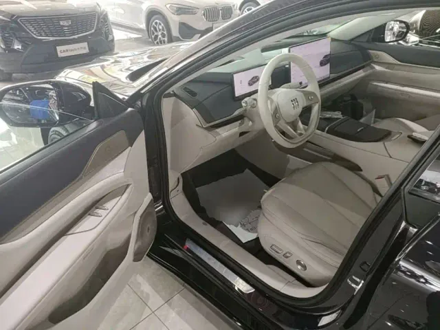 Buick Electra L7 — Фото автомобиля 15