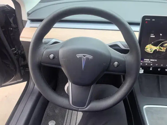 Tesla Model 3 — Фото автомобиля 15