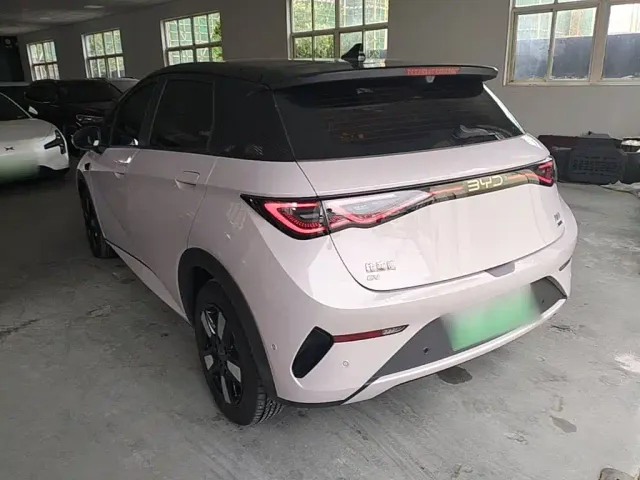 BYD Dolphin — Фото автомобиля 4
