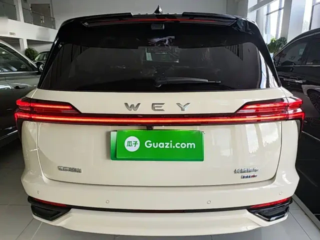 Wey Lanshan — Фото автомобиля 5