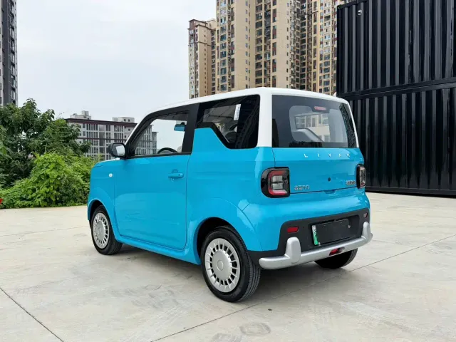 Livan Ruilan Blue Elf — Фото автомобиля 6