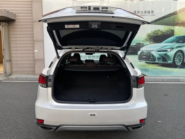 Lexus RX — Фото автомобиля 17